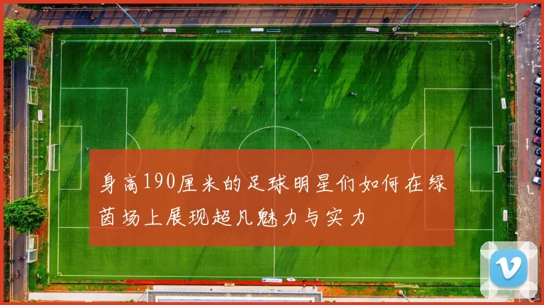 身高190厘米的足球明星们如何在绿茵场上展现超凡魅力与实力