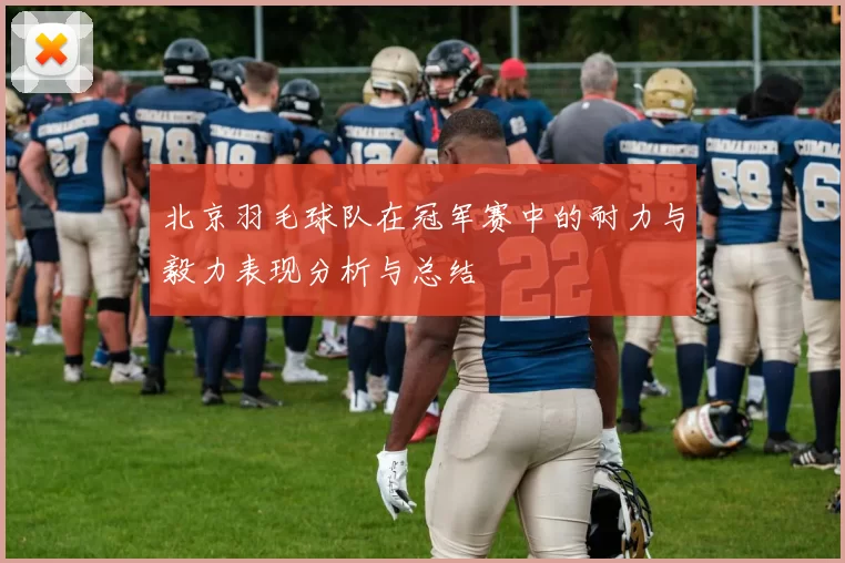 北京羽毛球队在冠军赛中的耐力与毅力表现分析与总结