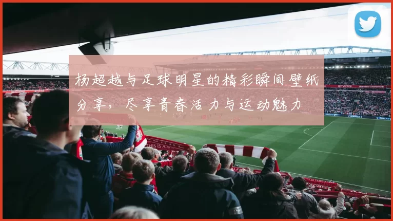 杨超越与足球明星的精彩瞬间壁纸分享，尽享青春活力与运动魅力