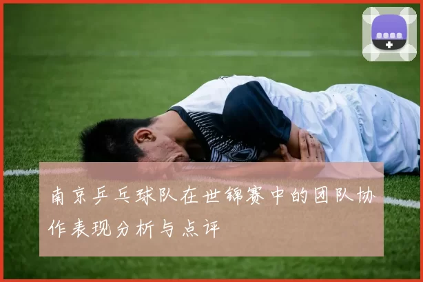 南京乒乓球队在世锦赛中的团队协作表现分析与点评