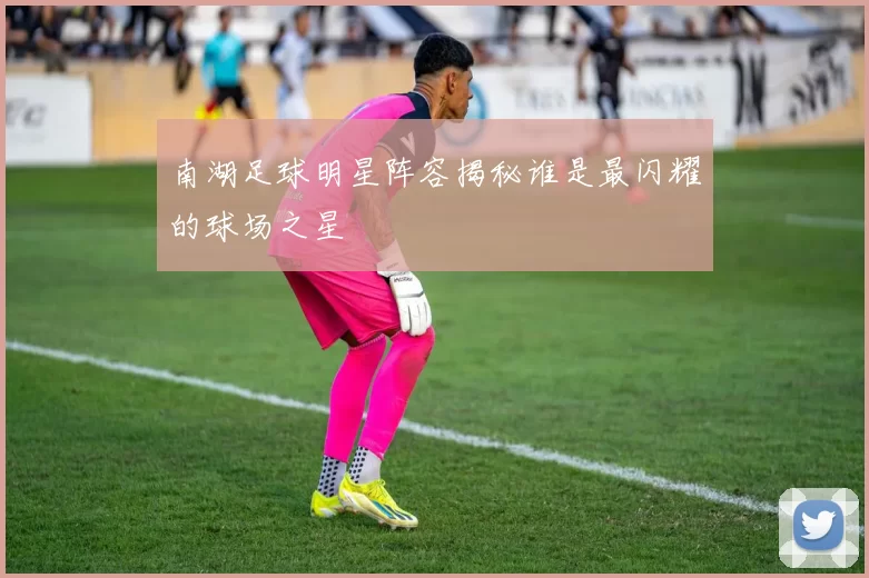 南湖足球明星阵容揭秘谁是最闪耀的球场之星