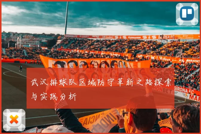 武汉排球队区域防守革新之路探索与实践分析