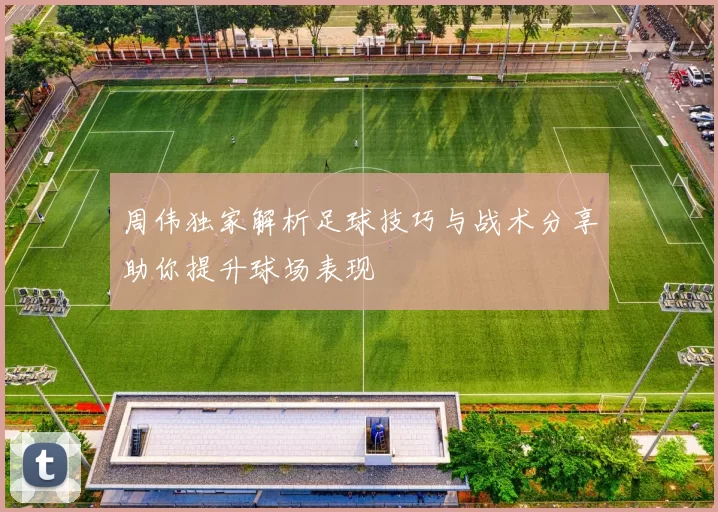 周伟独家解析足球技巧与战术分享助你提升球场表现